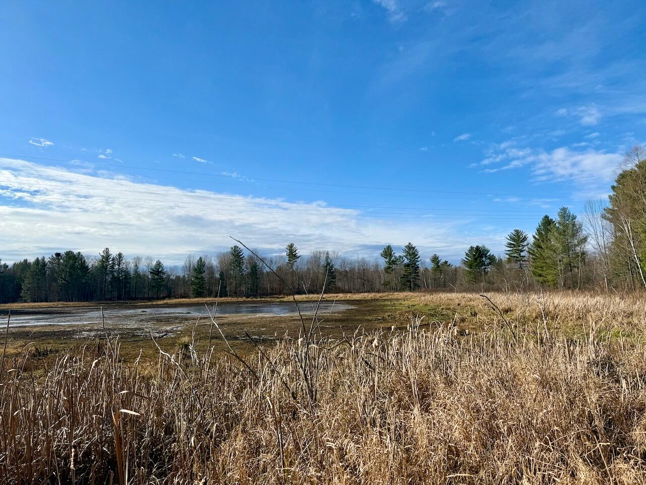 V/L 17 Mile Rd, Leroy, MI, 49655