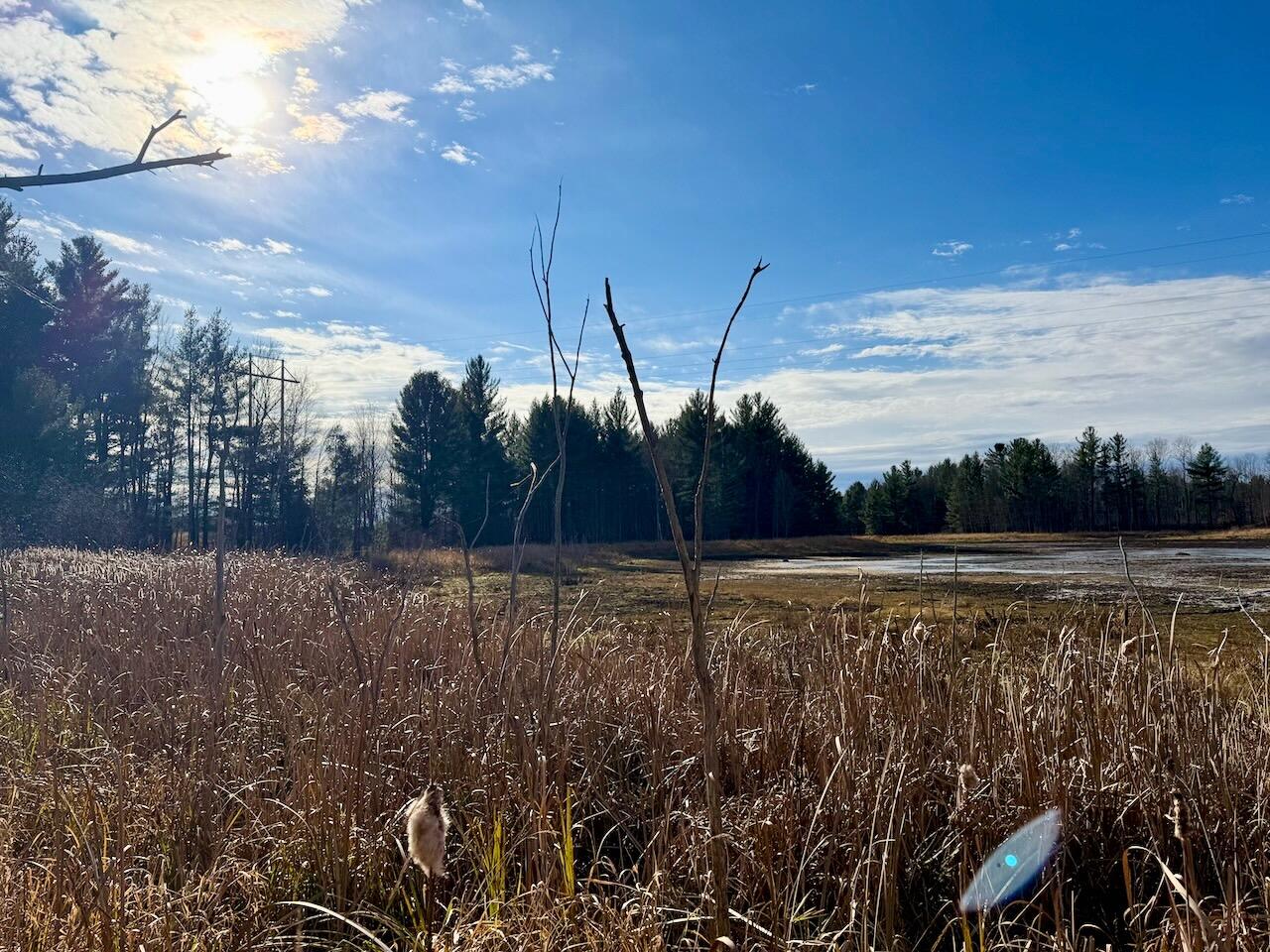 V/L 17 Mile Rd, Leroy, MI, 49655