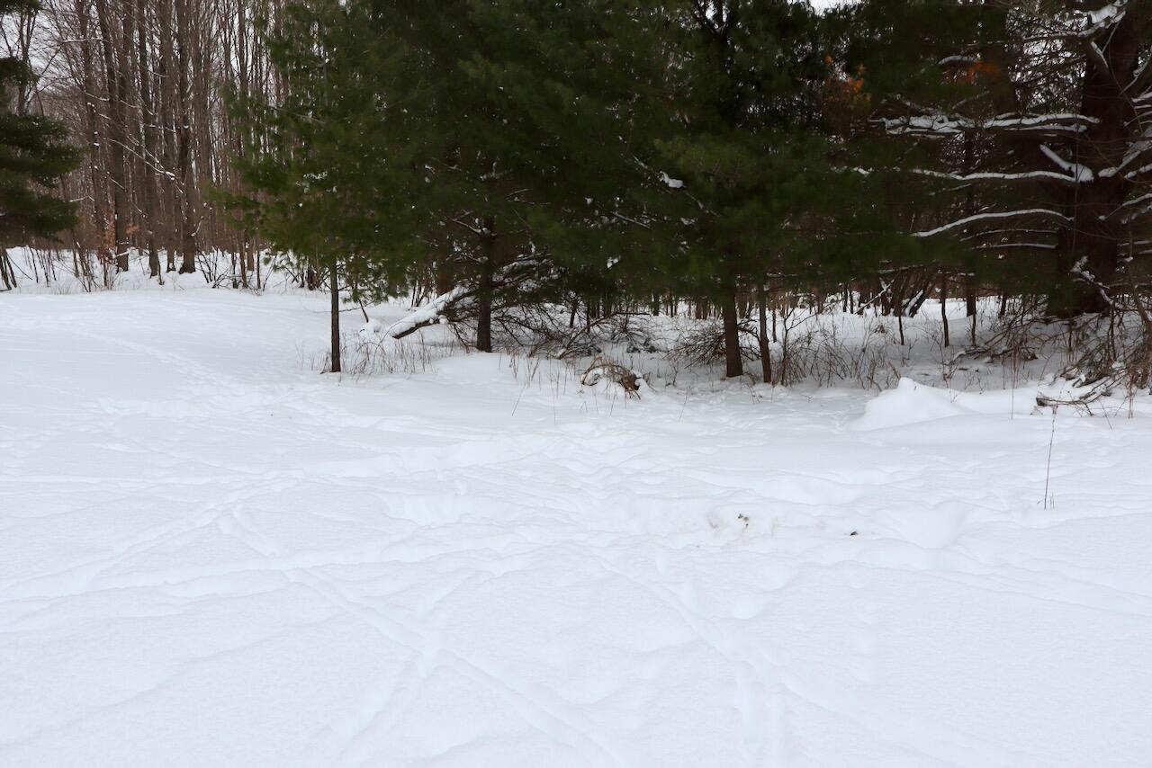 V/L 17 Mile Rd, Leroy, MI, 49655