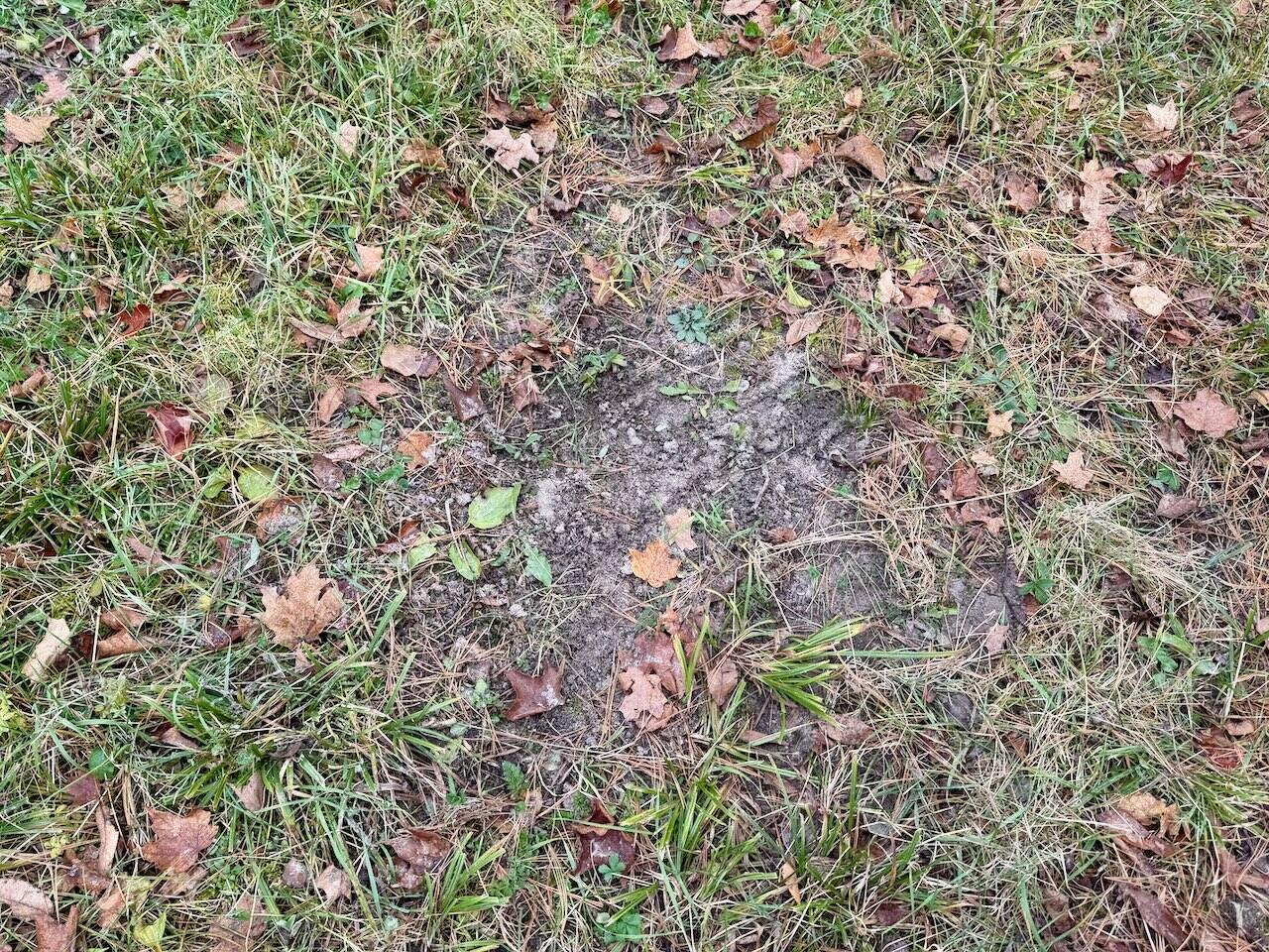 V/L 17 Mile Rd, Leroy, MI, 49655