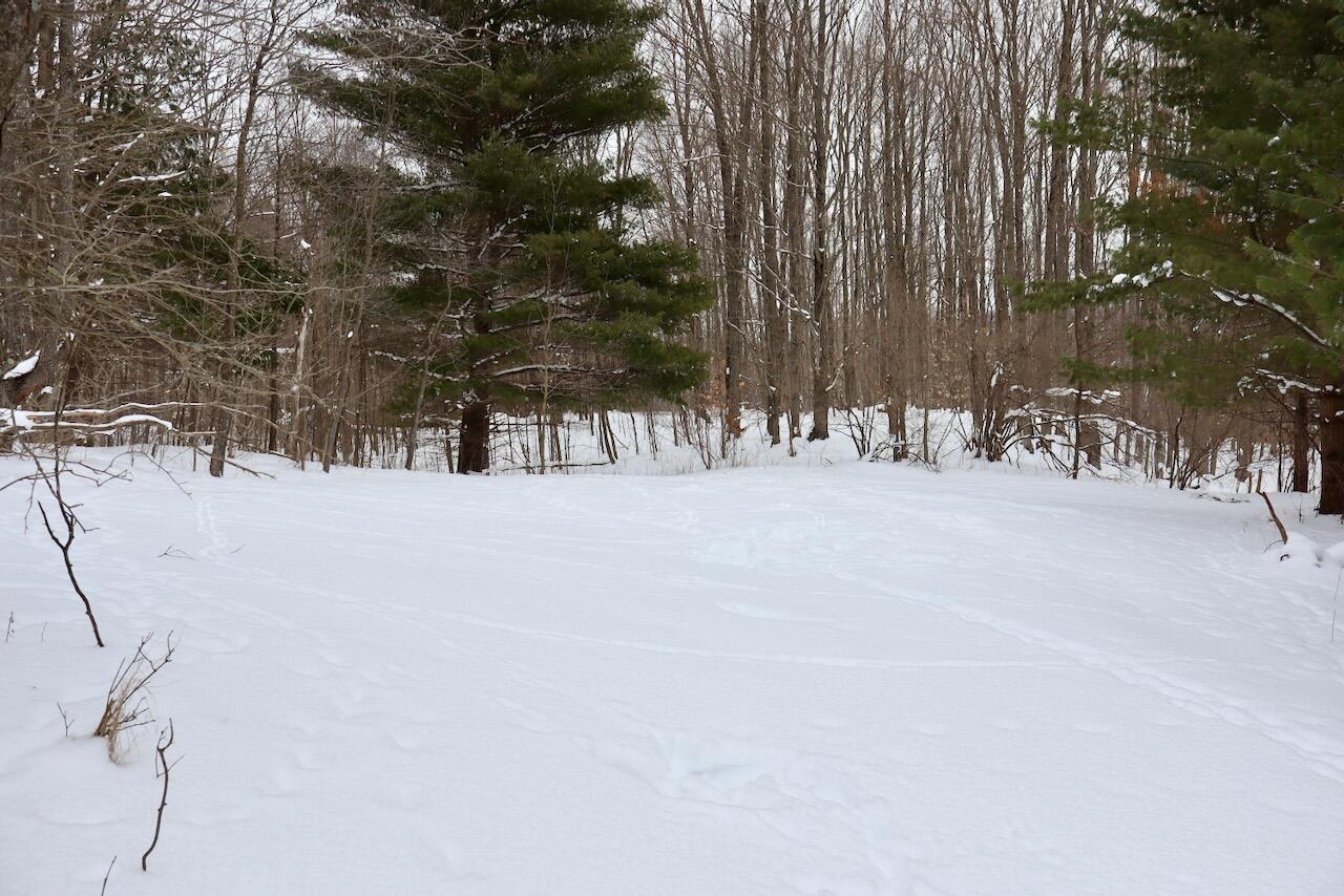 V/L 17 Mile Rd, Leroy, MI, 49655