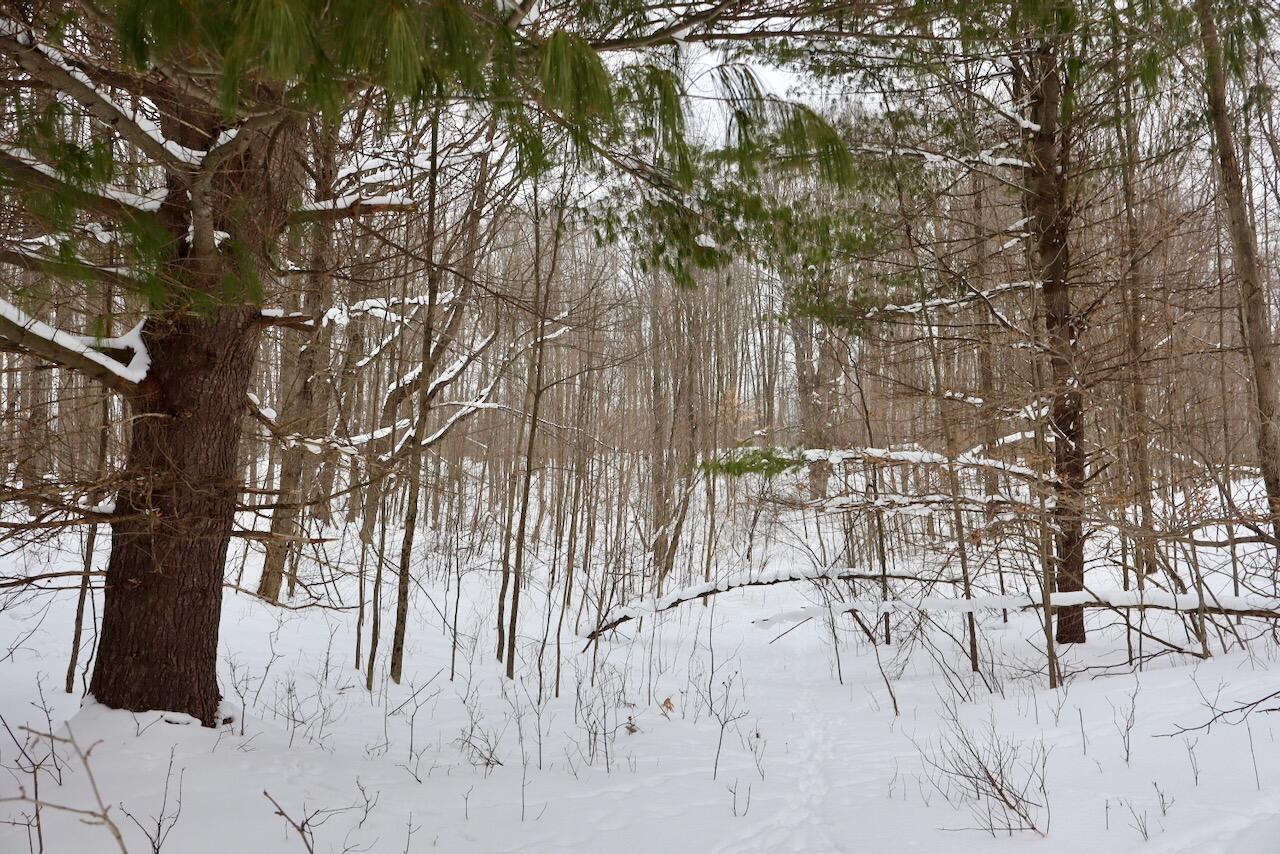 V/L 17 Mile Rd, Leroy, MI, 49655