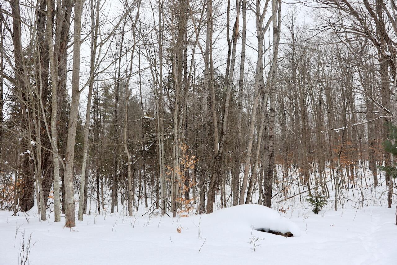 V/L 17 Mile Rd, Leroy, MI, 49655