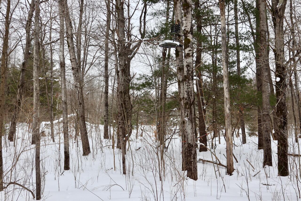 V/L 17 Mile Rd, Leroy, MI, 49655