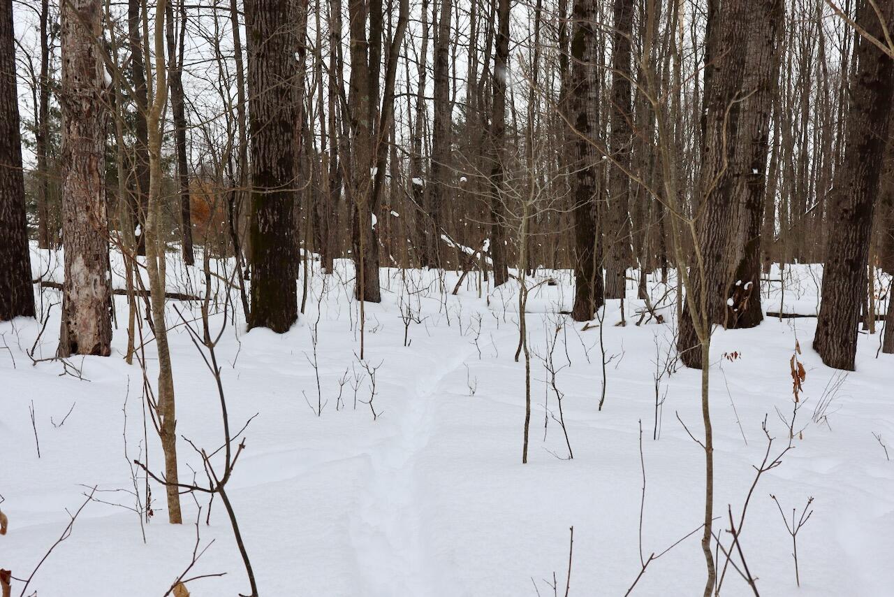 V/L 17 Mile Rd, Leroy, MI, 49655