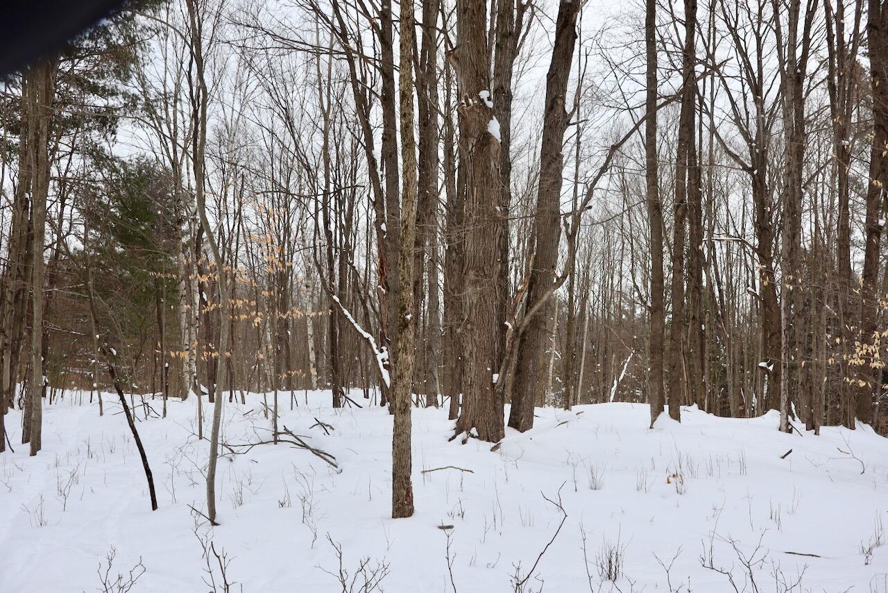 V/L 17 Mile Rd, Leroy, MI, 49655