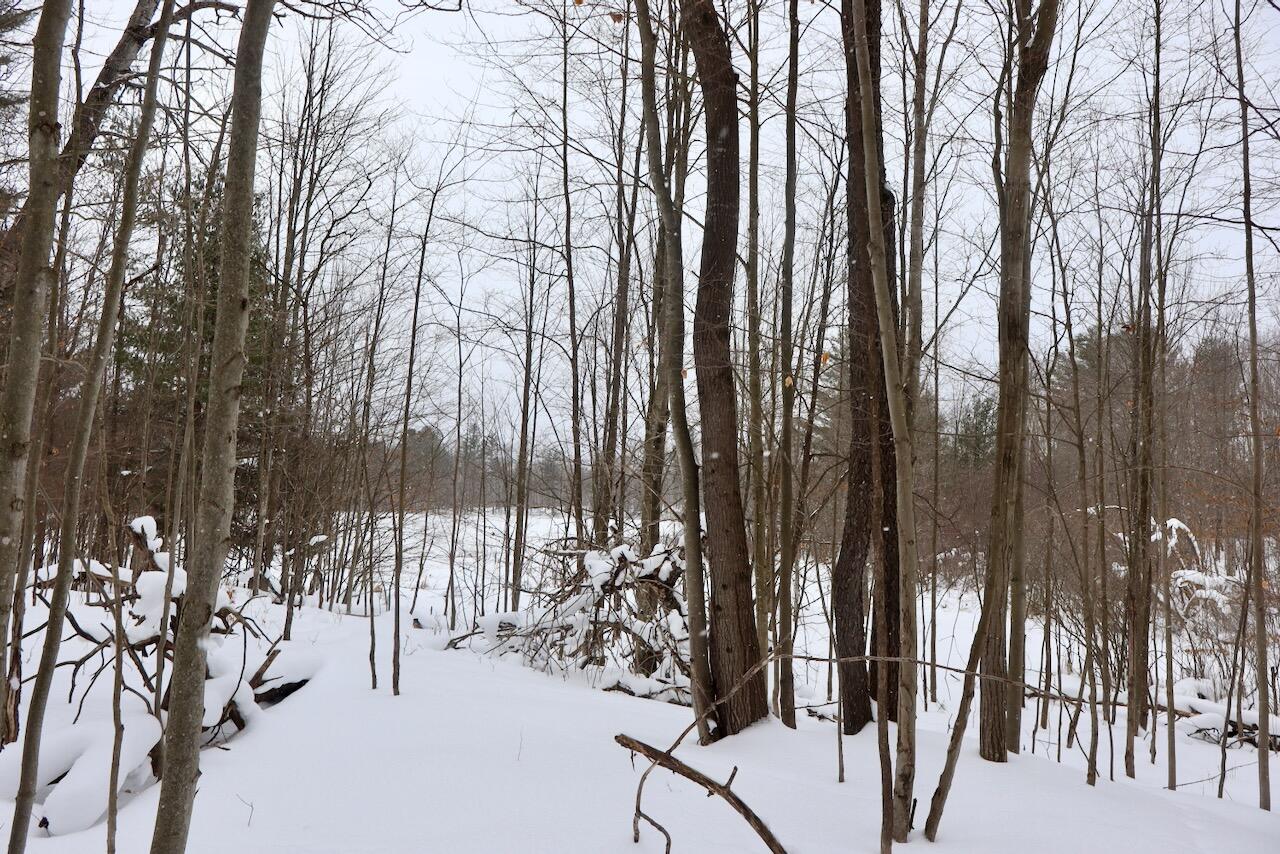 V/L 17 Mile Rd, Leroy, MI, 49655