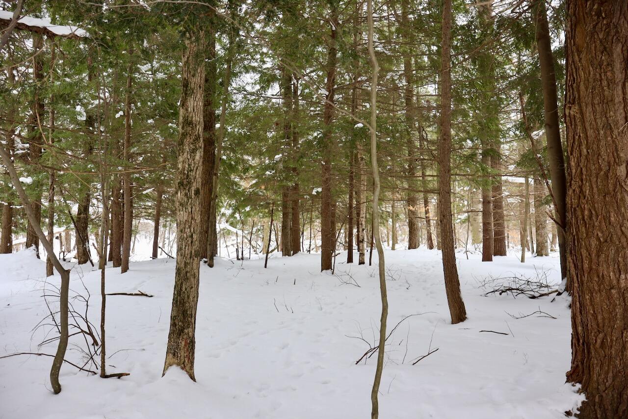 V/L 17 Mile Rd, Leroy, MI, 49655