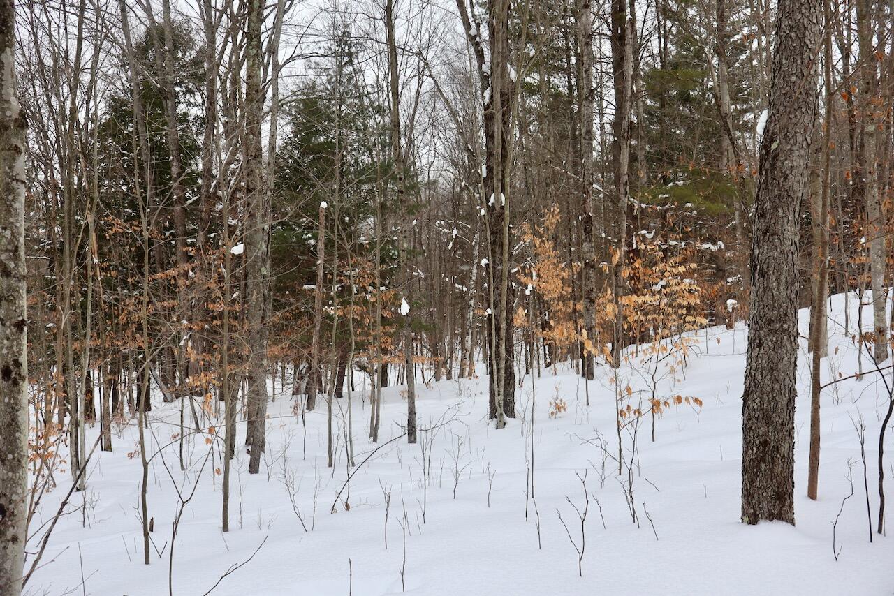 V/L 17 Mile Rd, Leroy, MI, 49655