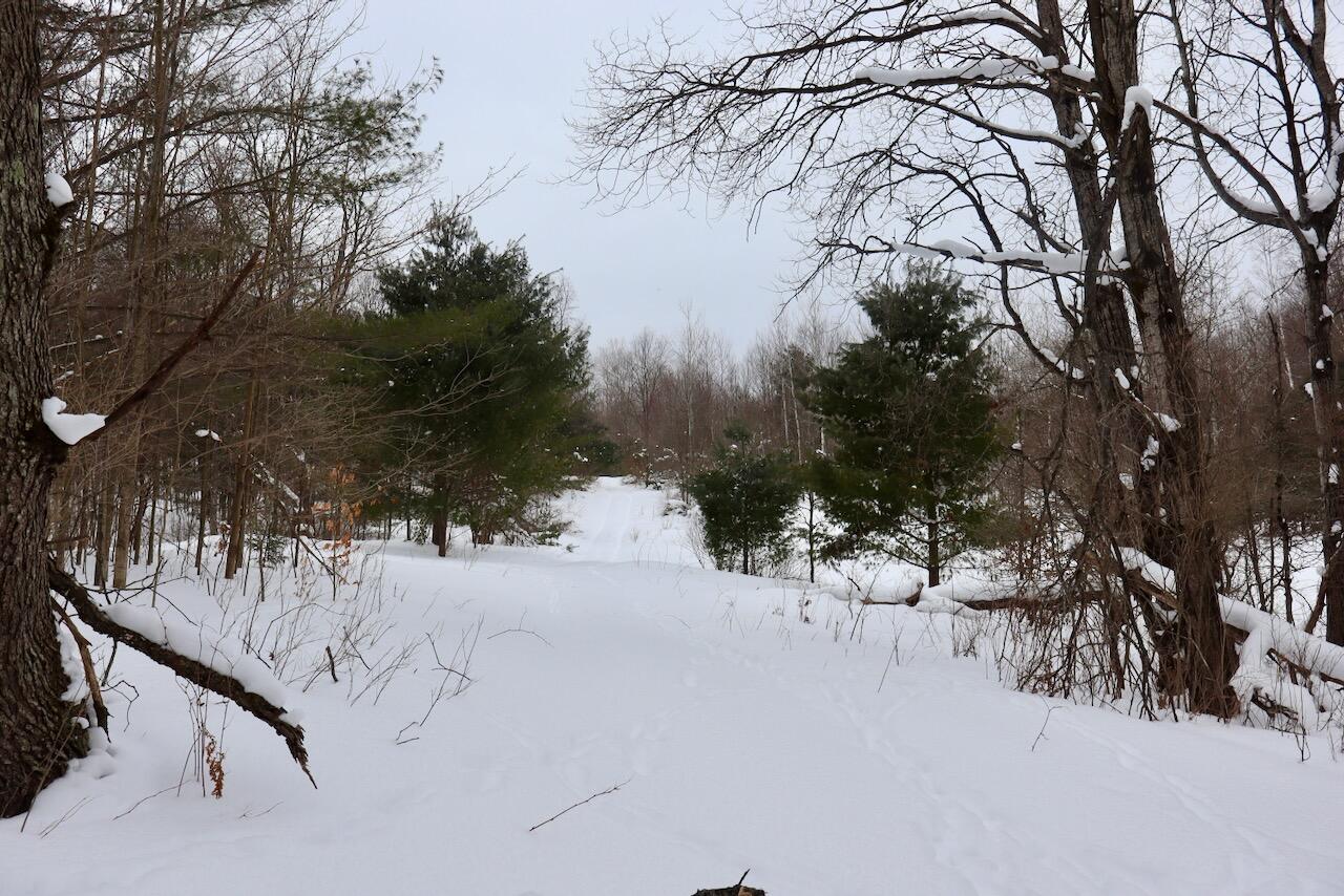 V/L 17 Mile Rd, Leroy, MI, 49655