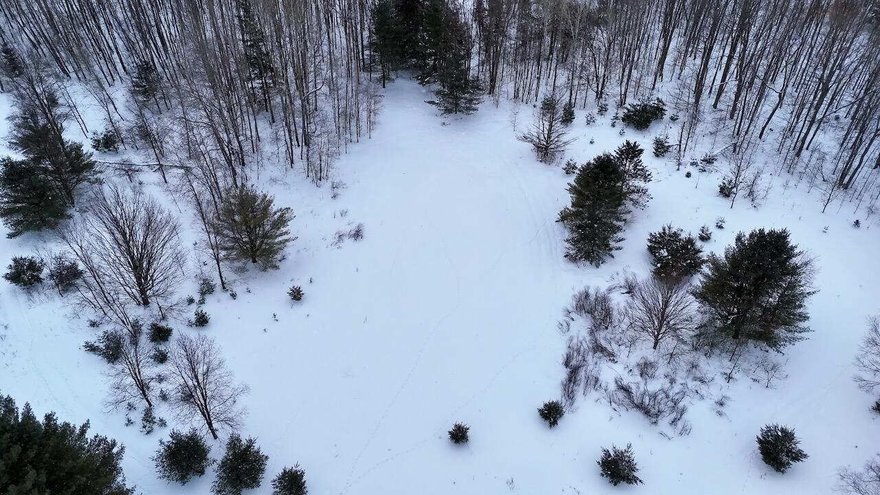 V/L 17 Mile Rd, Leroy, MI, 49655