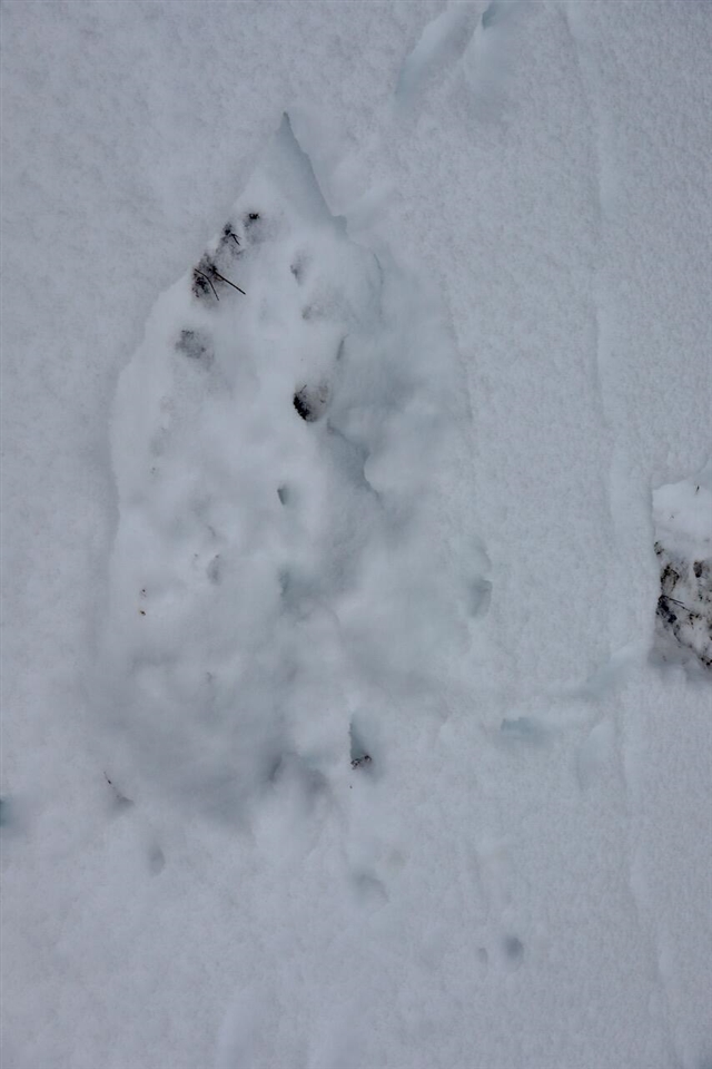 V/L 17 Mile Rd, Leroy, MI, 49655