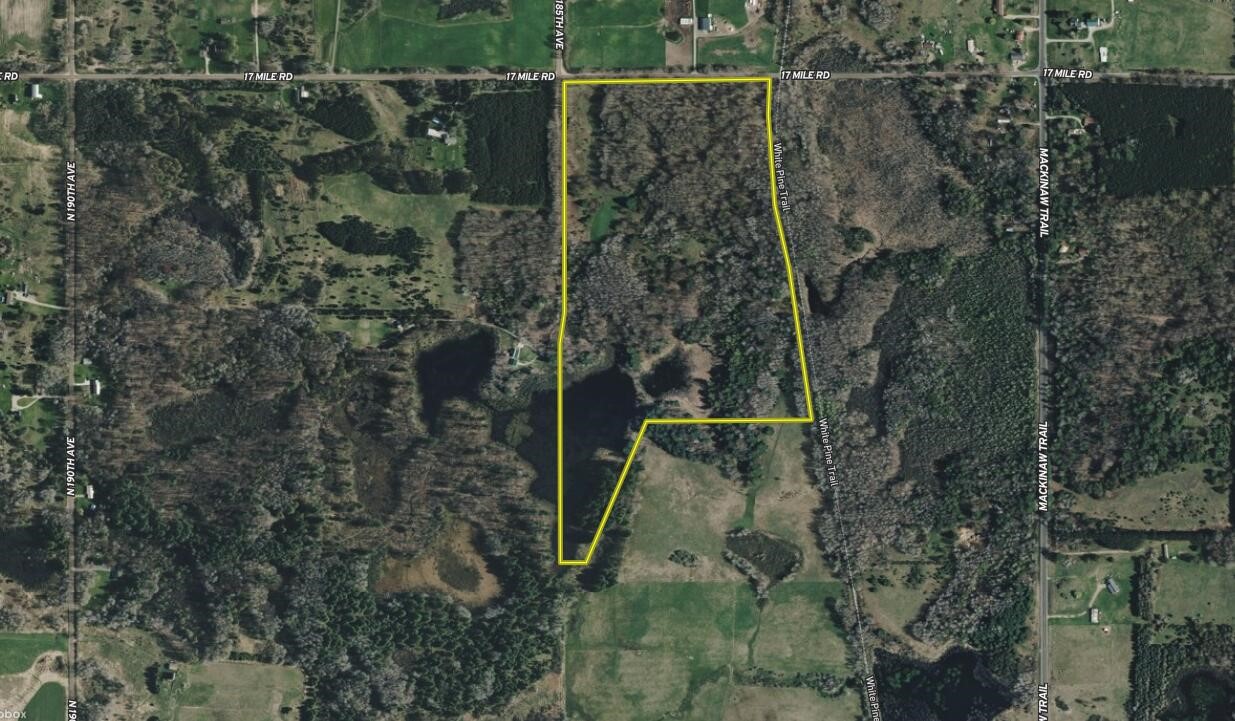 V/L 17 Mile Rd, Leroy, MI, 49655