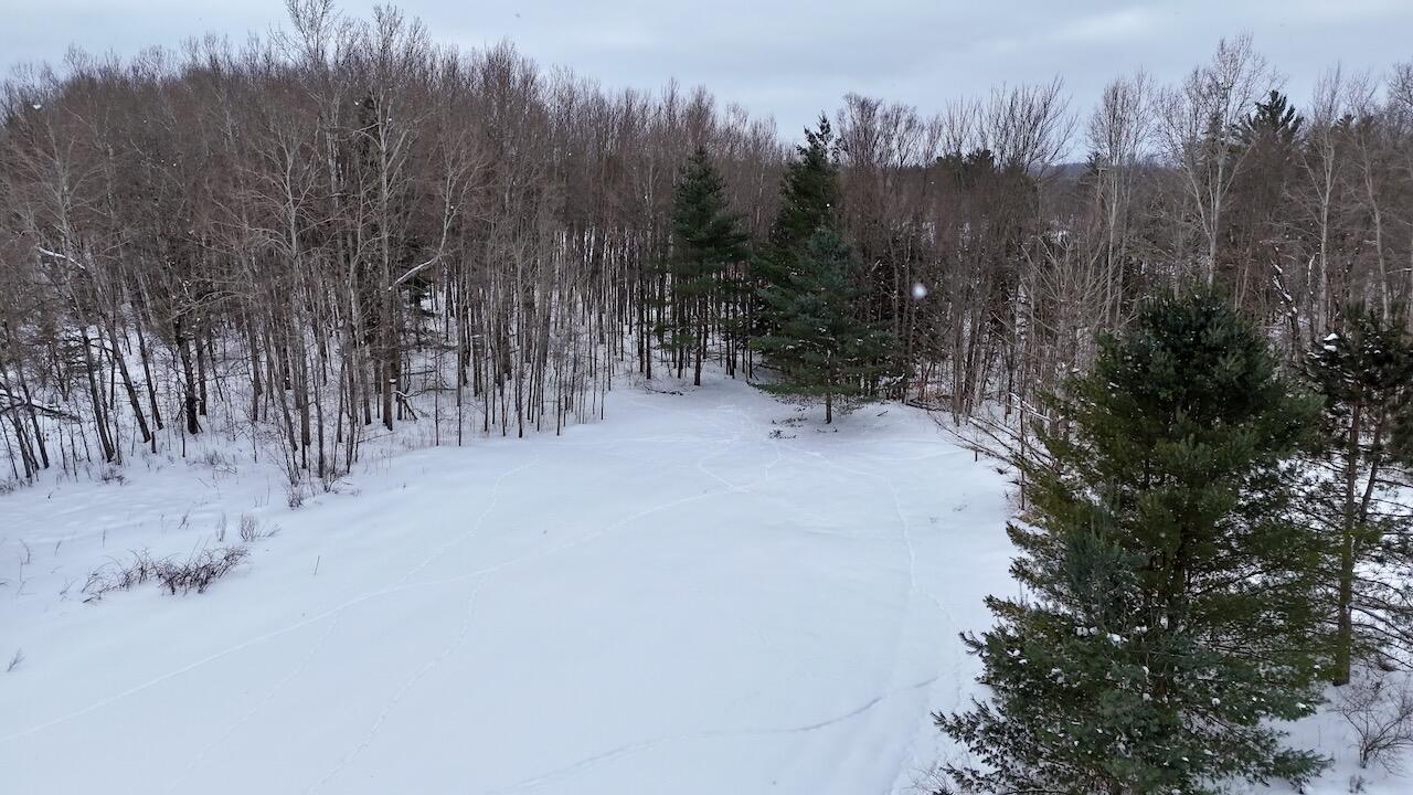 V/L 17 Mile Rd, Leroy, MI, 49655