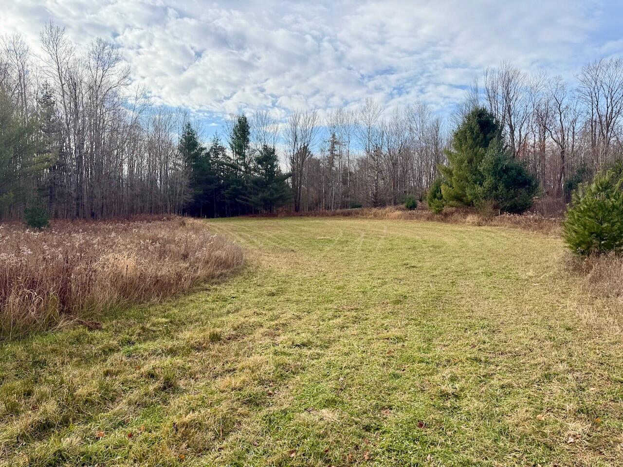 V/L 17 Mile Rd, Leroy, MI, 49655