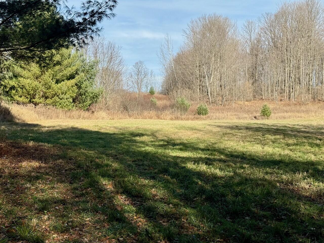 V/L 17 Mile Rd, Leroy, MI, 49655