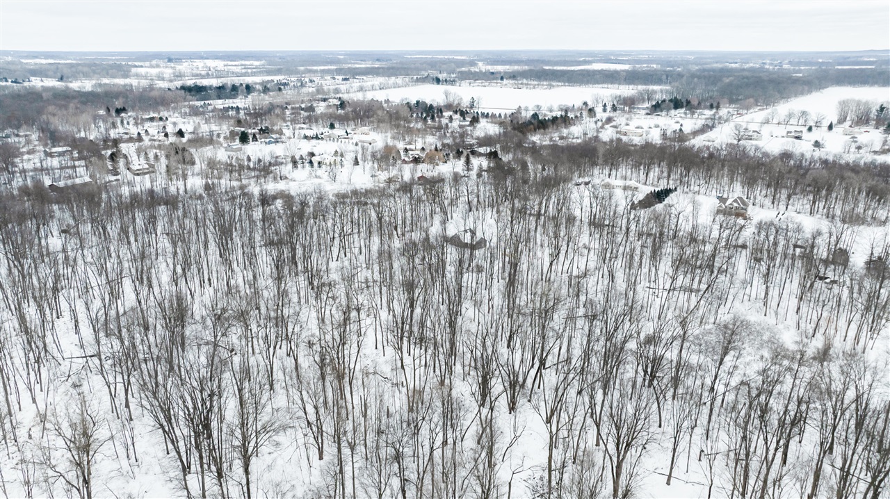 Ashlyn Court, Fowlerville, MI, 48836