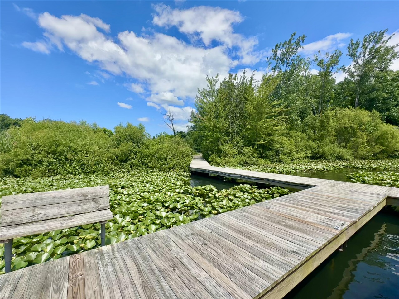 5916 Osprey Lane, Watervliet, MI, 49098-8712