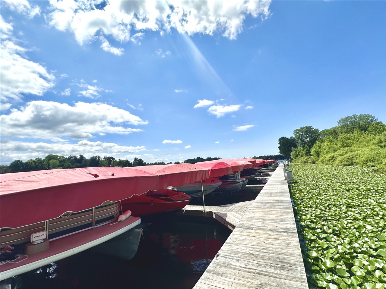 5916 Osprey Lane, Watervliet, MI, 49098-8712