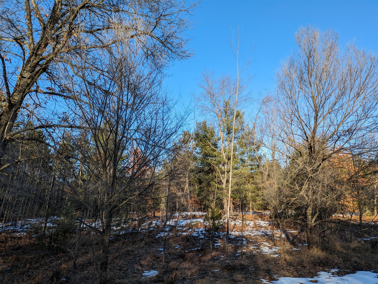Photo of property for sale at 3 Louhi Street, Kaleva MI 49645