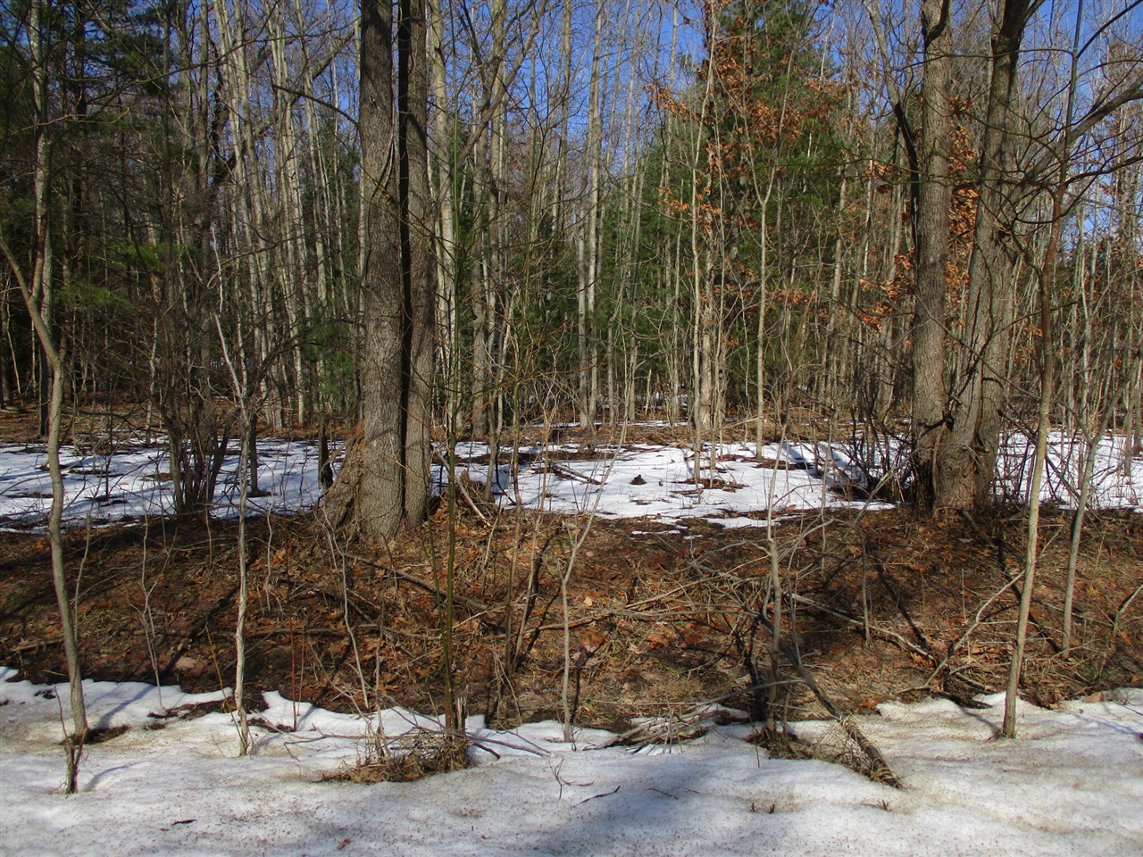 N/A Reed Road, Sterling, MI, 48659