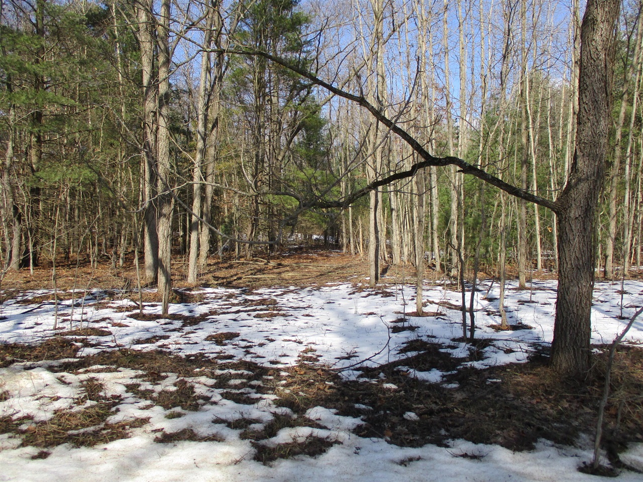 Homes for sale in Pullman, MI | 105Th Ave, Pullman, MI 49450 | MLS# 70514655