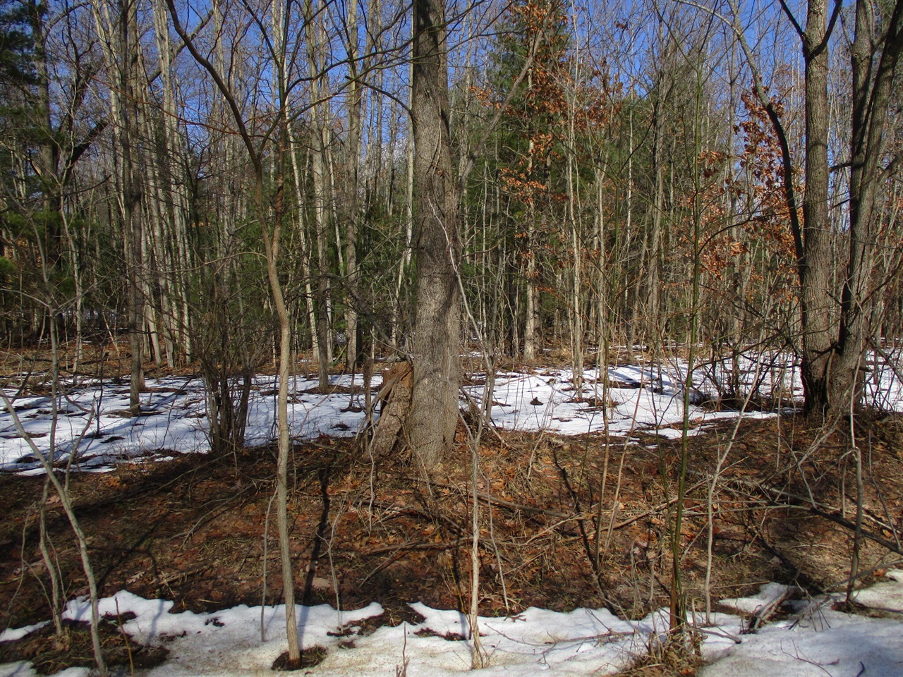 Homes for sale in Pullman, MI | 105Th Ave, Pullman, MI 49450 | MLS# 70514655