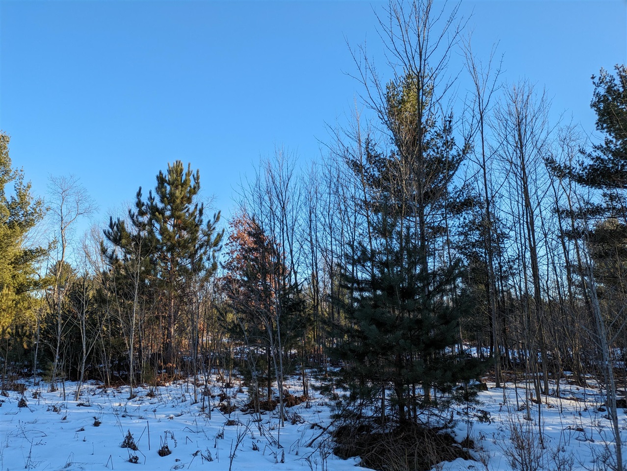 Photo of property for sale at 6 Jussi Street, Kaleva MI 49645