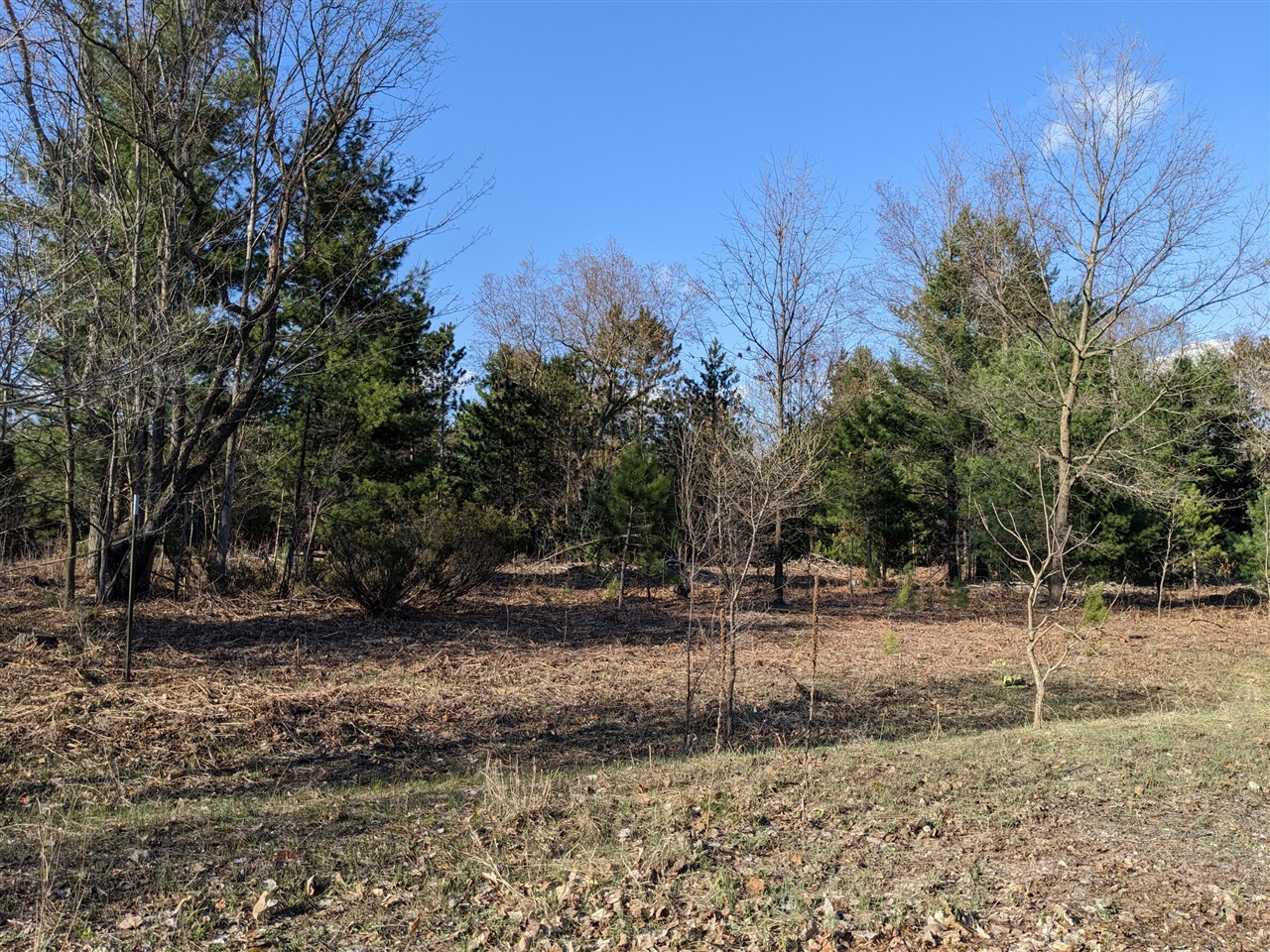 Photo of property for sale at Jussi Street, Kaleva MI 49645