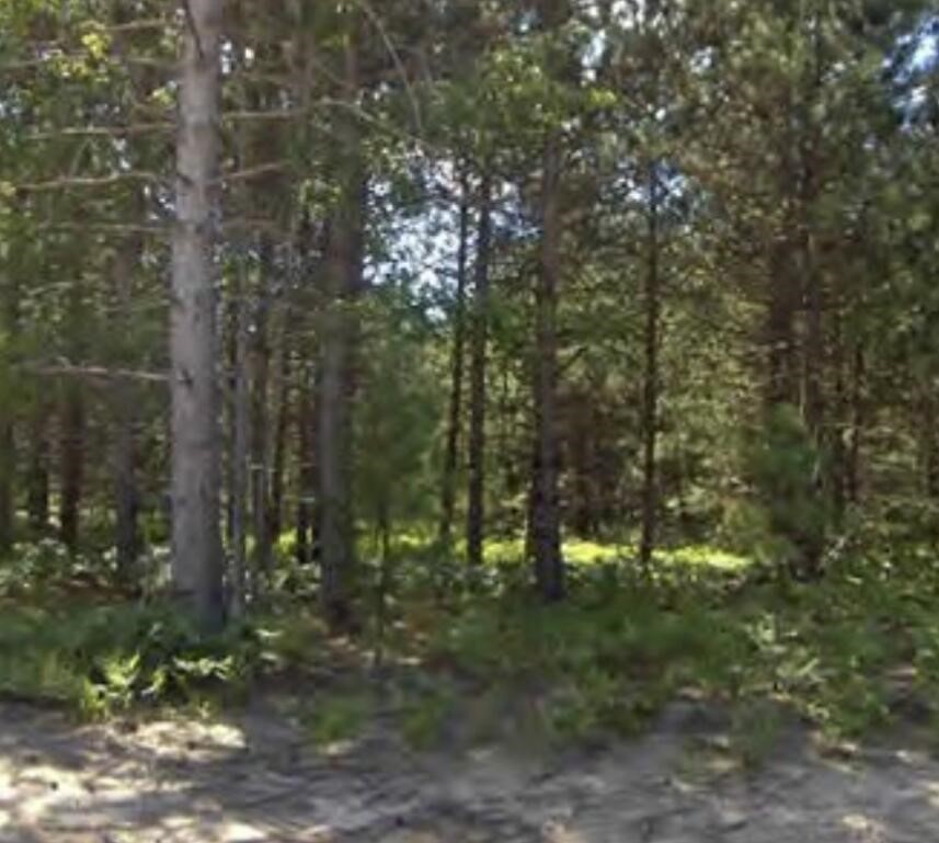 Photo of property for sale at Bergstrom Drive, Kaleva MI 49645