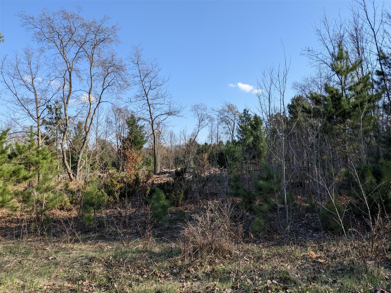 Bergstrom Drive photo 2