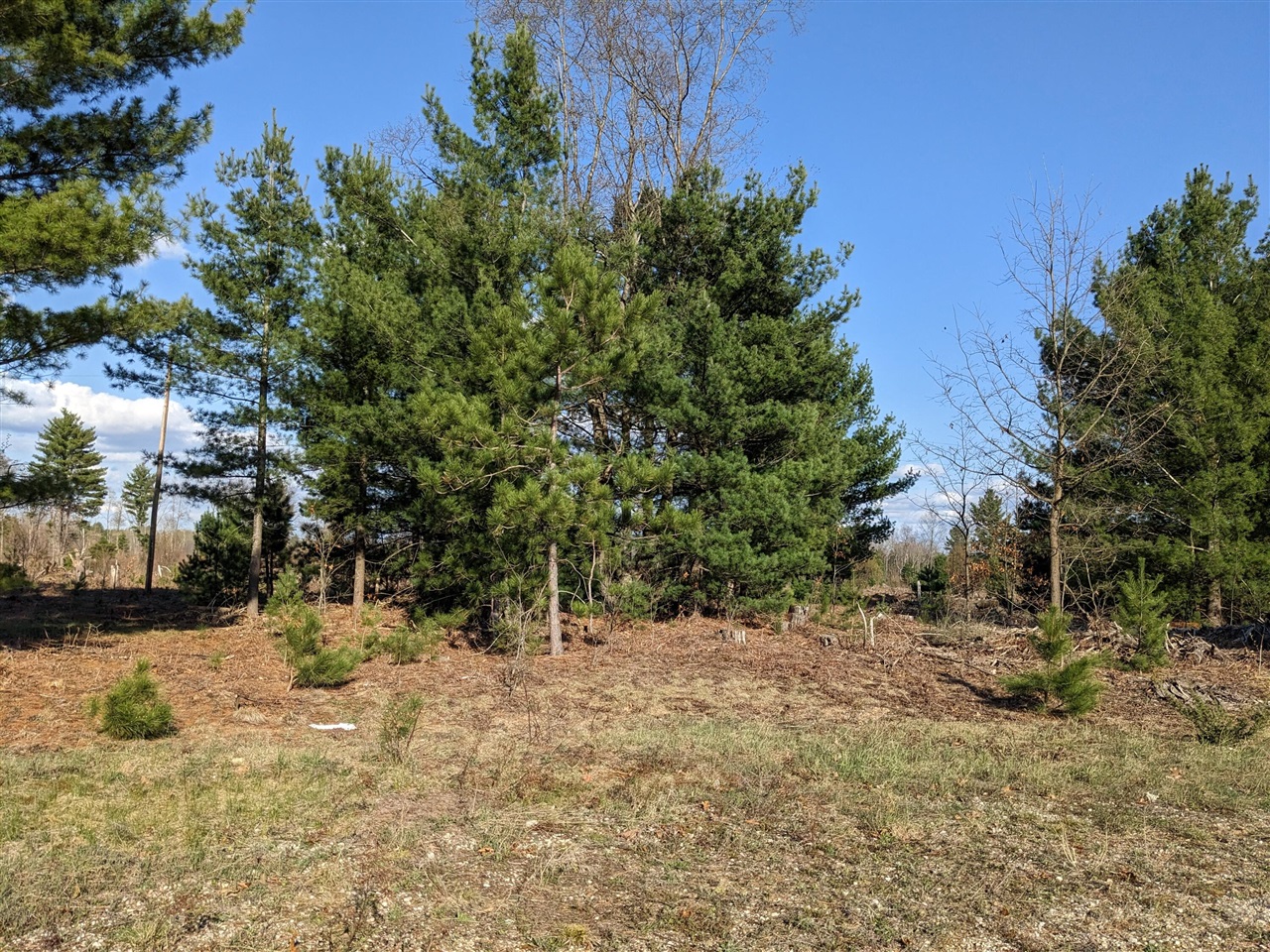Bergstrom Drive photo 11