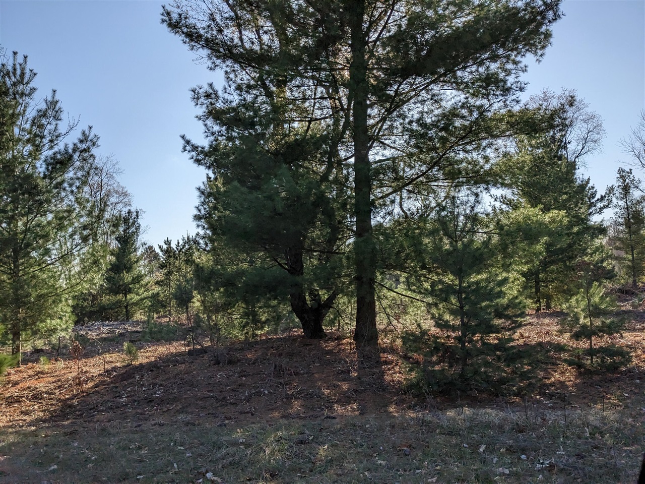 Bergstrom Drive photo 12