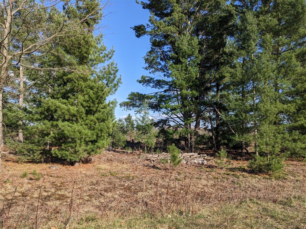 Bergstrom Drive photo 13