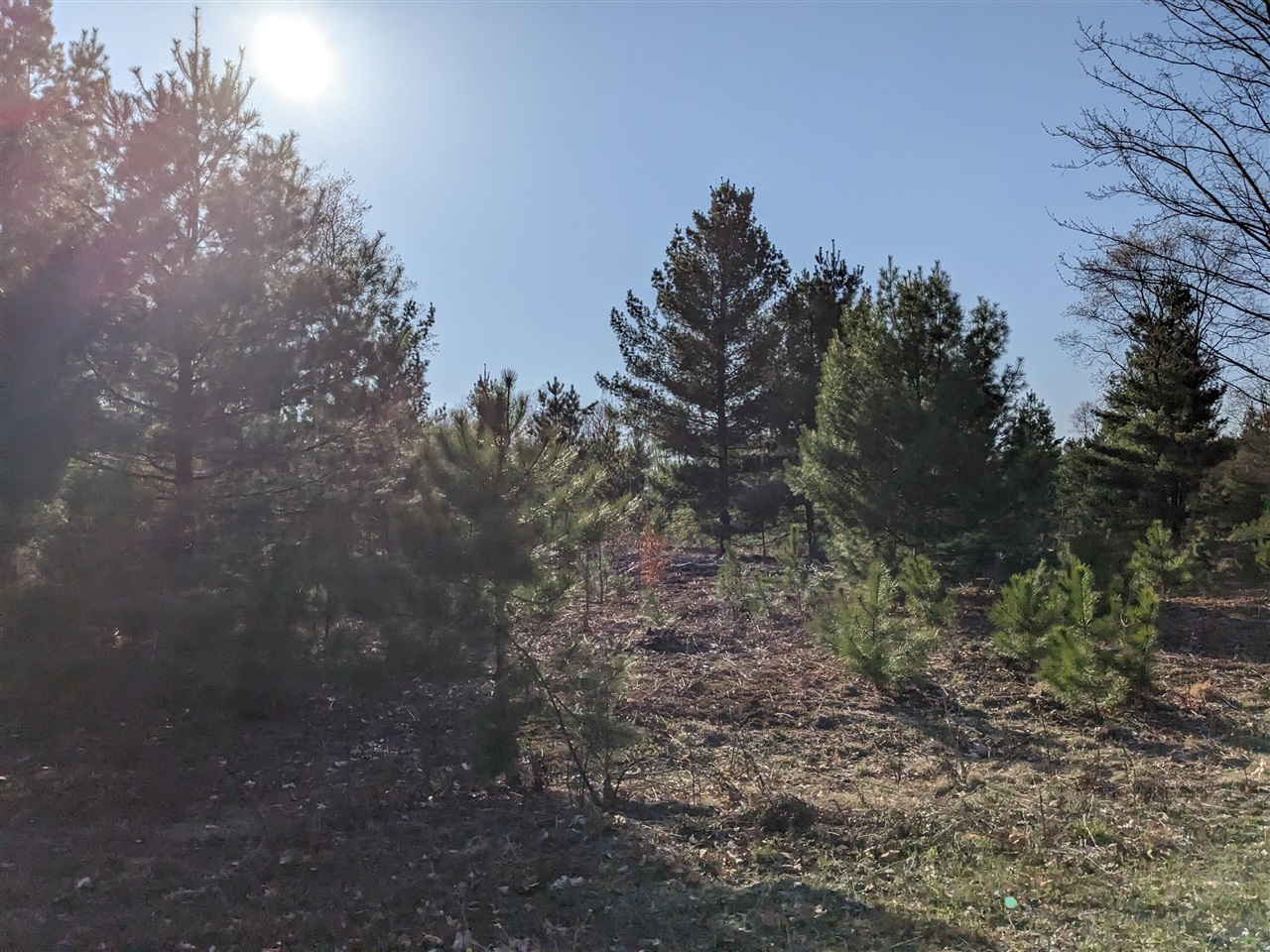 Bergstrom Drive photo 14