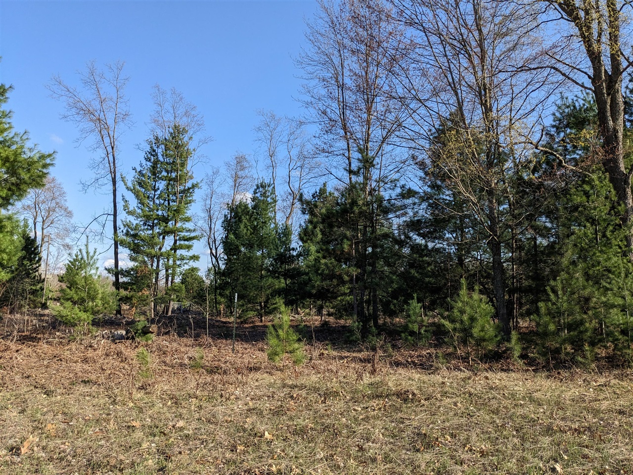 Bergstrom Drive photo 15