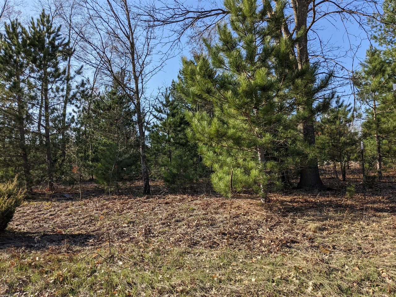 Bergstrom Drive photo 16