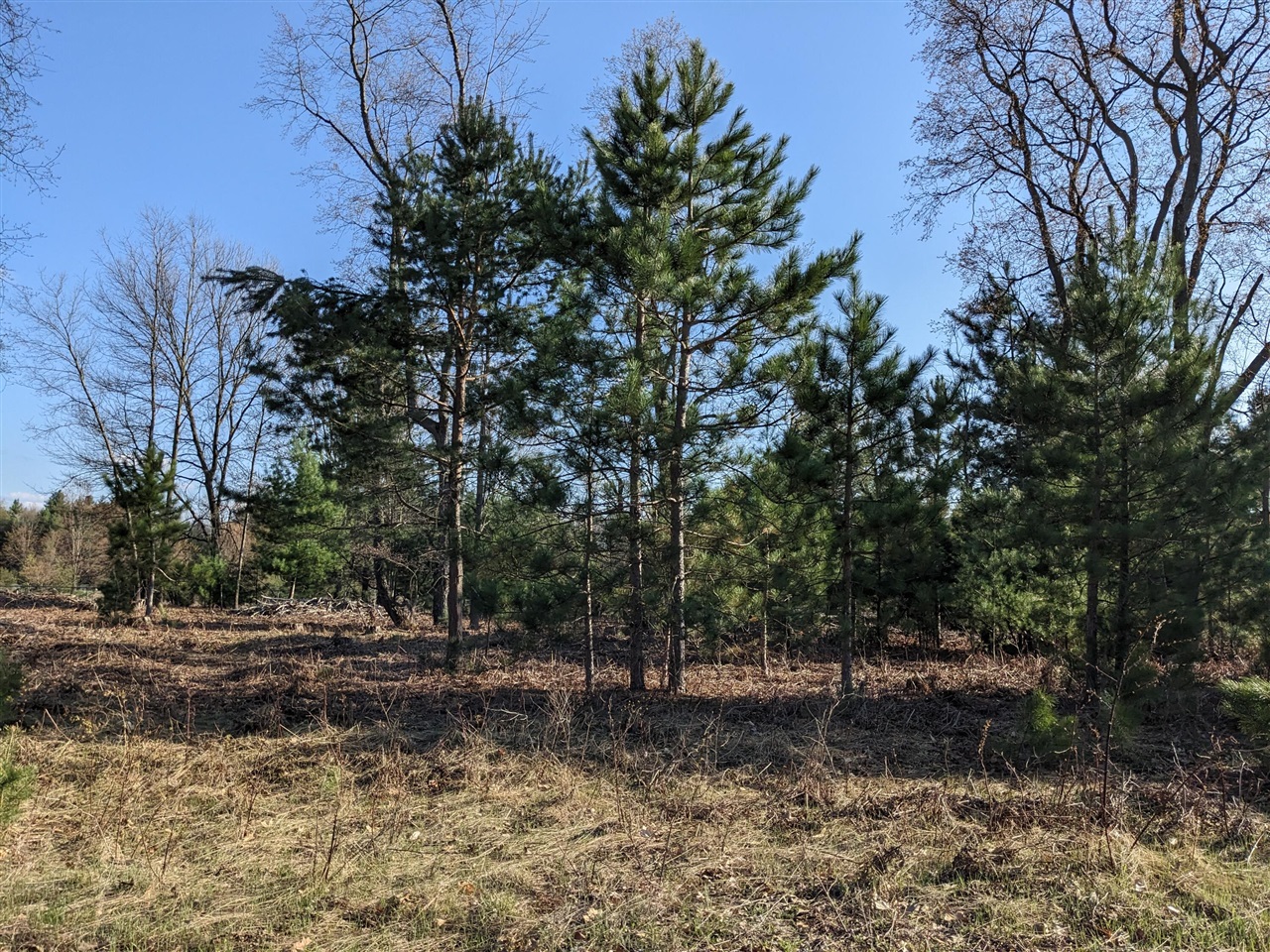 Bergstrom Drive photo 17