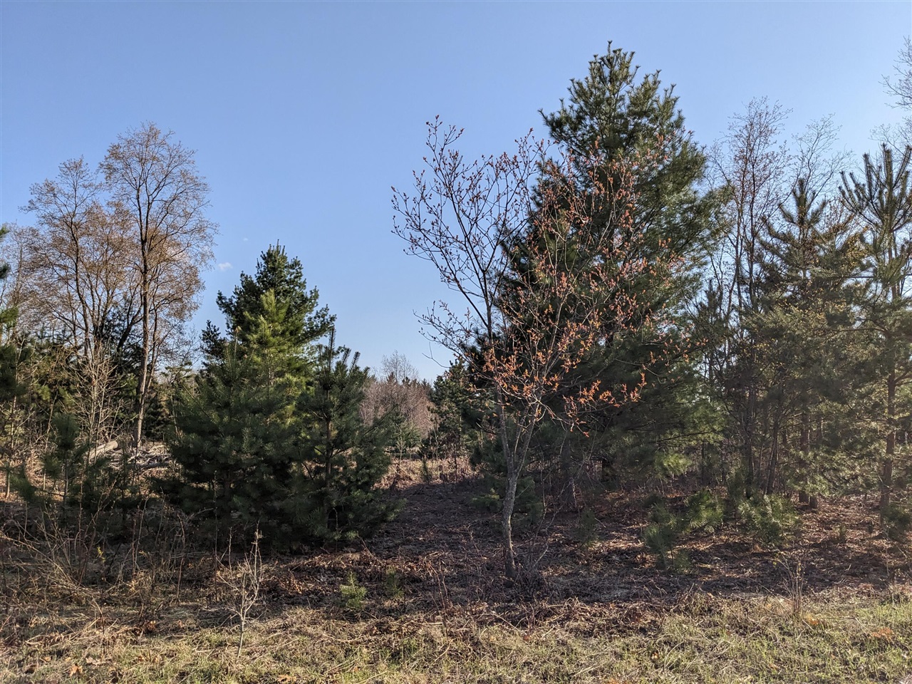Bergstrom Drive photo 19