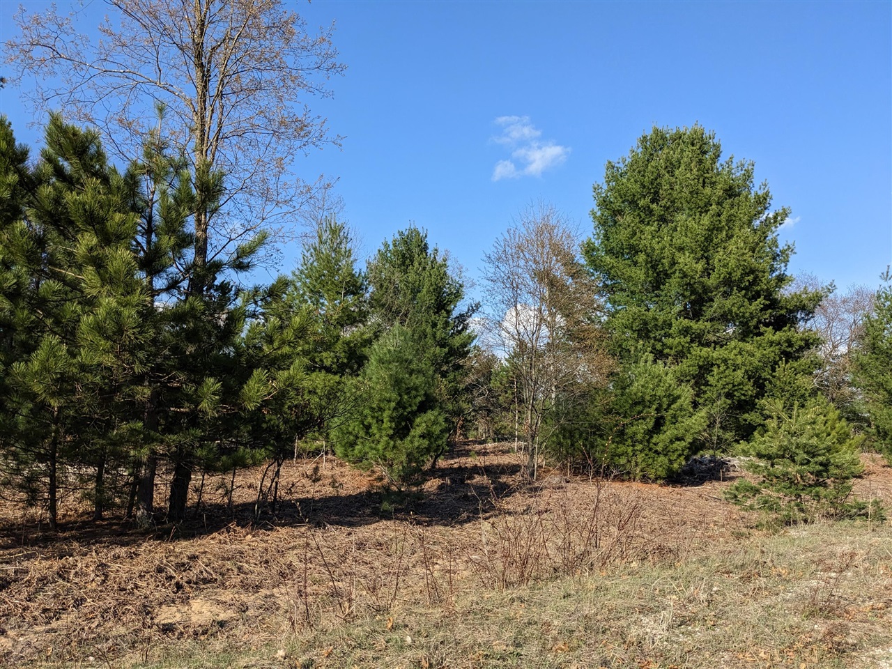 Bergstrom Drive photo 6