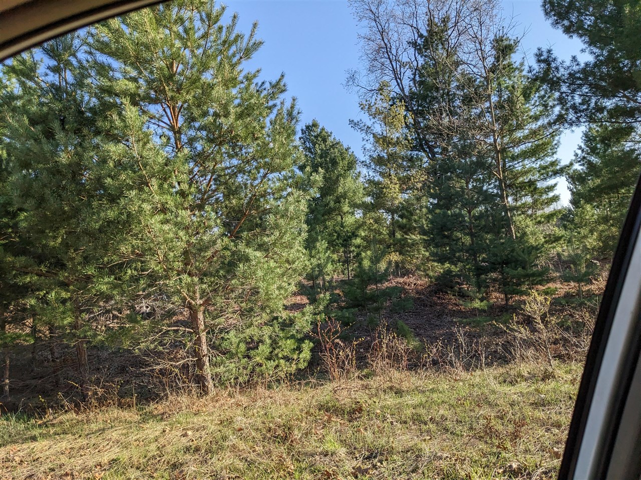 Bergstrom Drive photo 7
