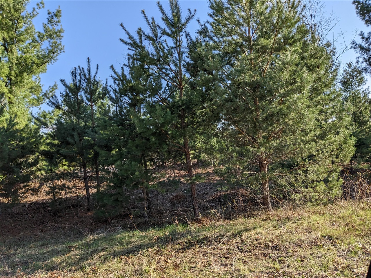 Bergstrom Drive photo 8