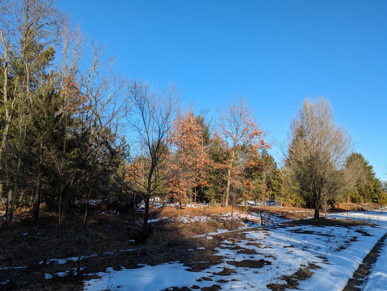 Bergstrom Drive, Kaleva, MI, 49645