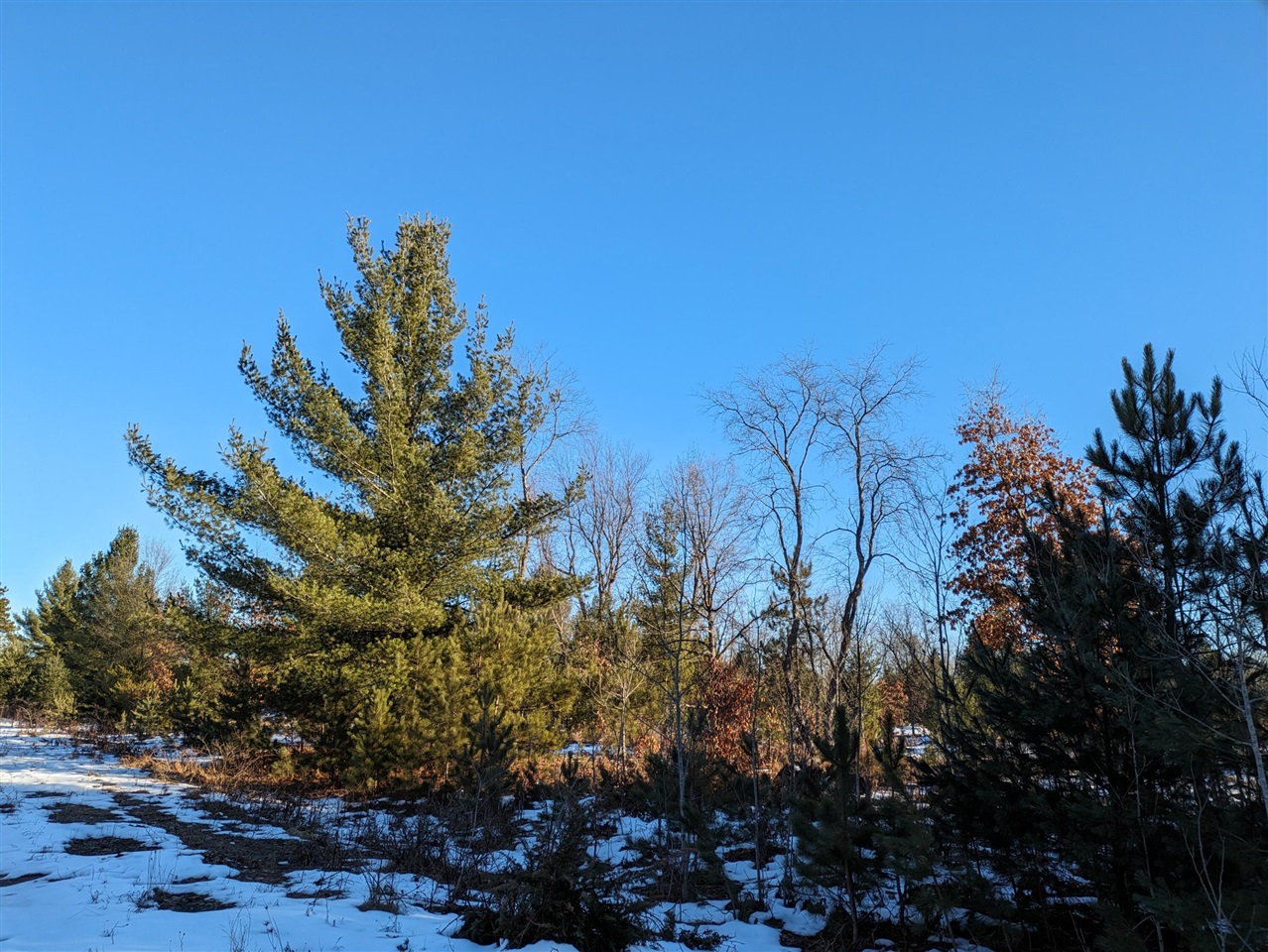 Bergstrom Drive, Kaleva, MI, 49645
