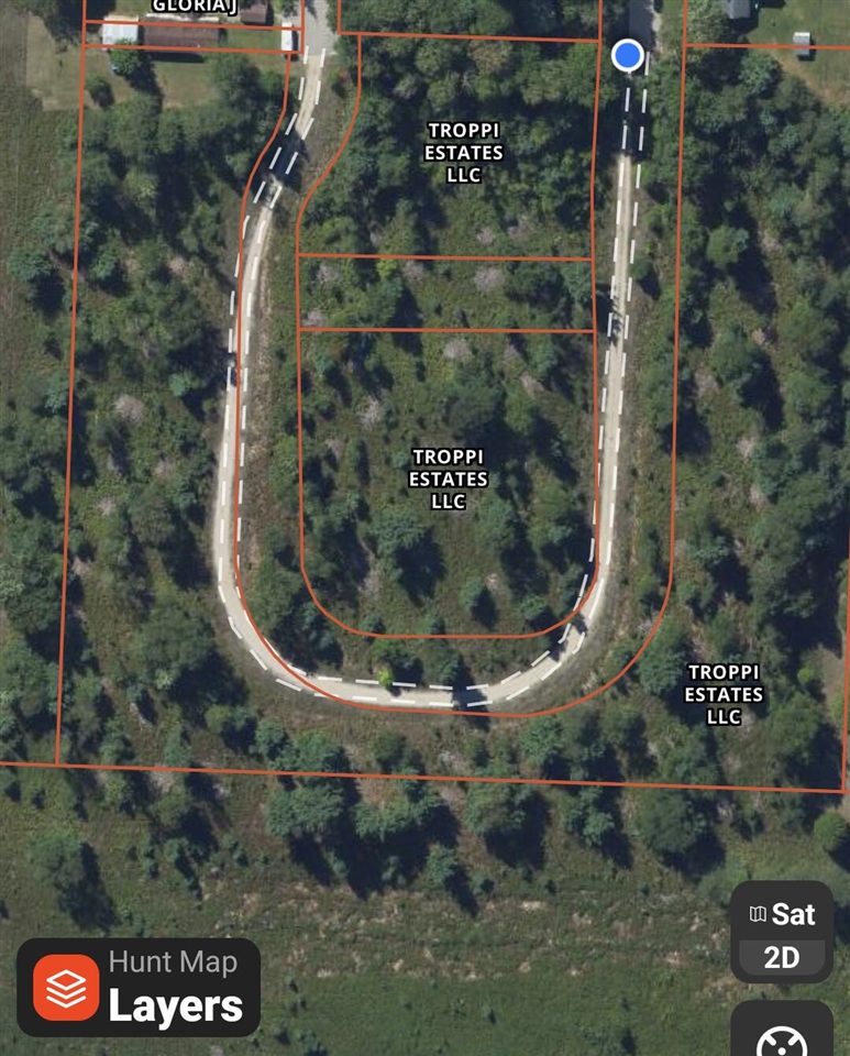 Bergstrom Drive, Kaleva, MI, 49645