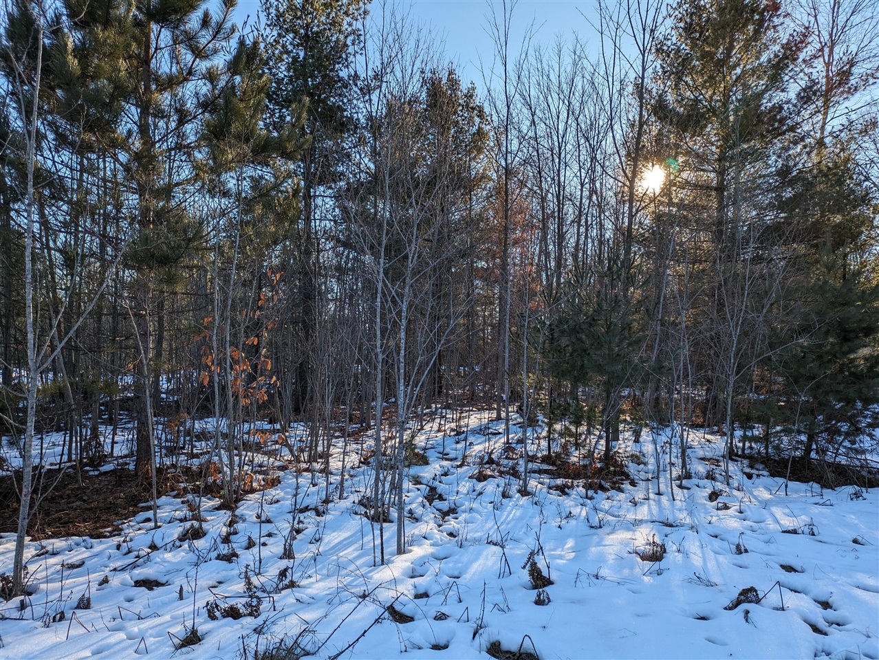 Listing Image at 15 Jussi Street, Kaleva MI 49645