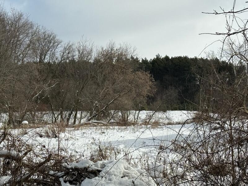 7628 N Marble Road photo 1