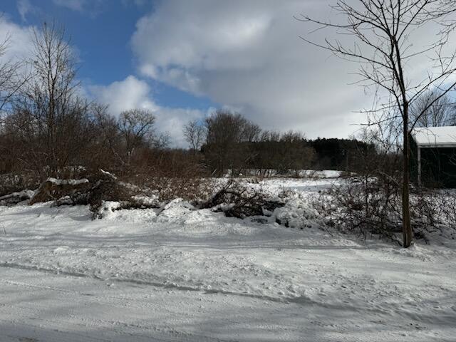 7628 N Marble Road, Howard City, MI, 49329-9571