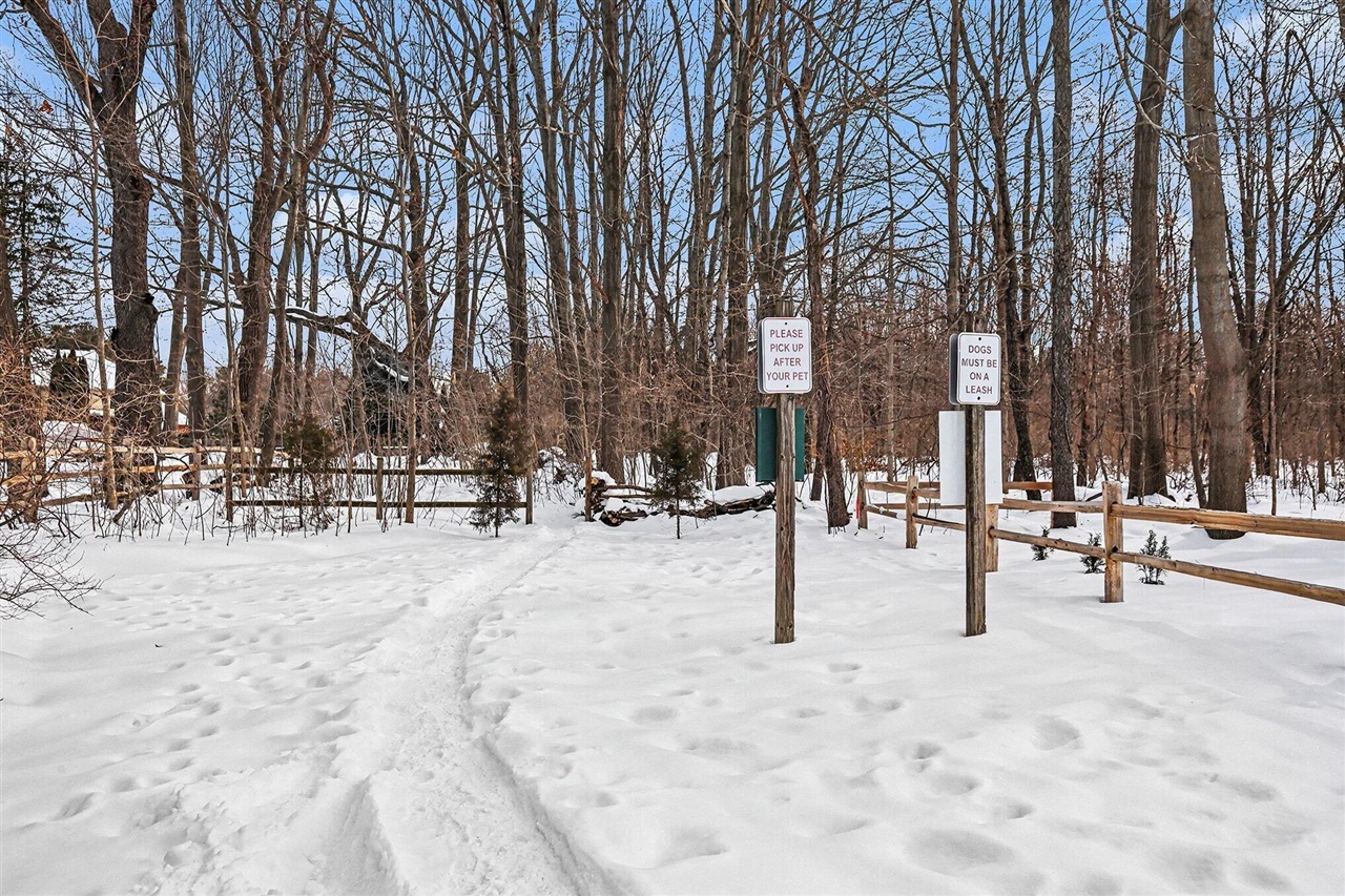 573 Wittenberg Path photo 23