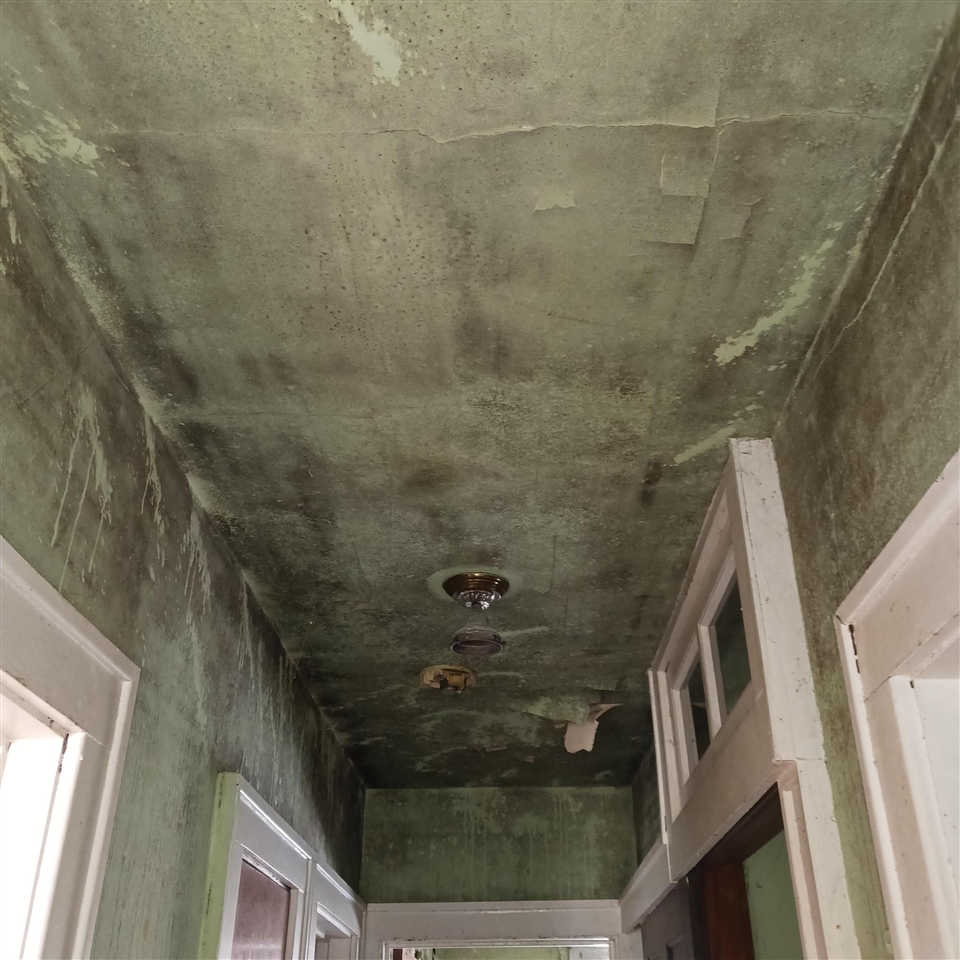 2701 W Philadelphia Street, Detroit, MI, 48206-3728